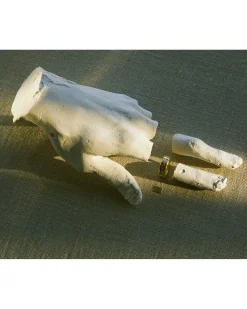 Pamela Love Rings|Caerus Iii